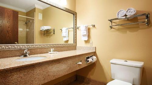 Koupelna v ubytování Best Western Plus Southpark Inn & Suites