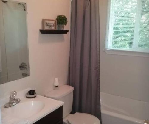 a bathroom with a white toilet and a sink at Cozy 1 BR Efficiency Apt close to TTU and Downtown in Cookeville