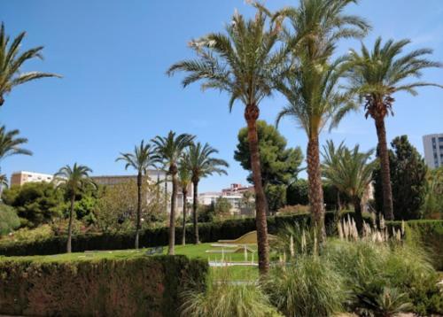 Playa de San Juan ALICANTE