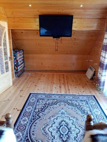 a living room with a flat screen tv and a rug at Садиба Федорчуків Гірська хатина in Sheshory