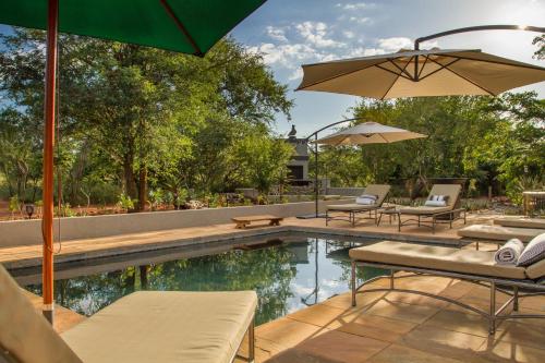 a swimming pool with chairs and umbrellas next to it at Ukuthula Bush Lodge in Hoedspruit