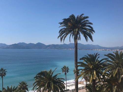 Photo de la galerie de l'établissement Coeur de Cannes, à Cannes