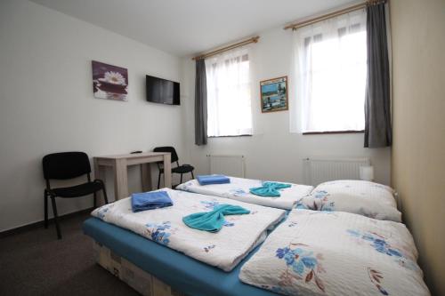 Postel nebo postele na pokoji v ubytování Penzion u Blanice