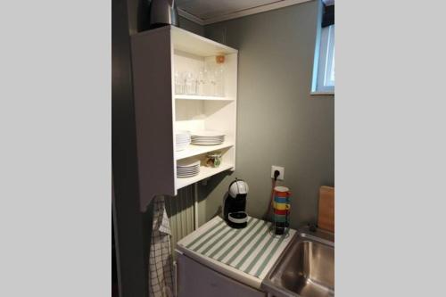 a small kitchen with a sink and a counter top at 4Stay Vislanda Sauna in Vislanda