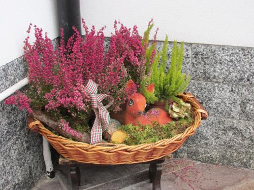 a basket filled with flowers and other plants at Casa Bamby in Cogolo