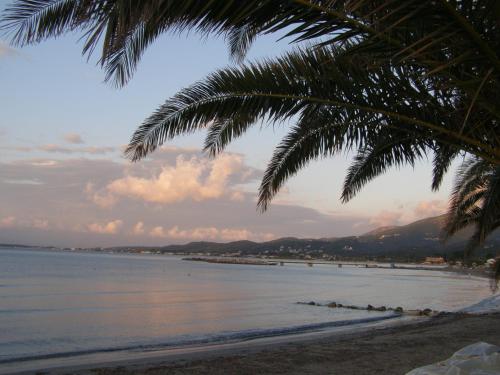 a view of a beach with a palm tree at Tzoras‌ ‌Apartments‌ ‌Roda‌ ‌Corfu‌ in Litherés