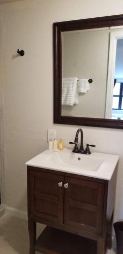 a bathroom with a sink and a mirror at Lily Creek Lodge in Dahlonega