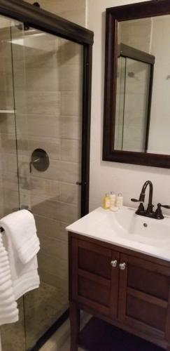 a bathroom with a sink and a shower with a mirror at Lily Creek Lodge in Dahlonega