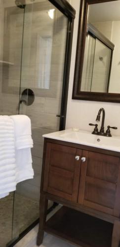 a bathroom with a sink and a shower at Lily Creek Lodge in Dahlonega