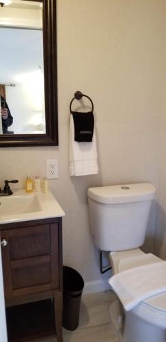 a bathroom with a toilet and a sink and a mirror at Lily Creek Lodge in Dahlonega