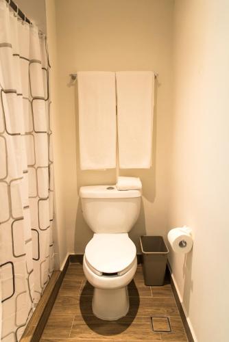 a bathroom with a toilet and a shower curtain at Lithio Hotel in Veracruz