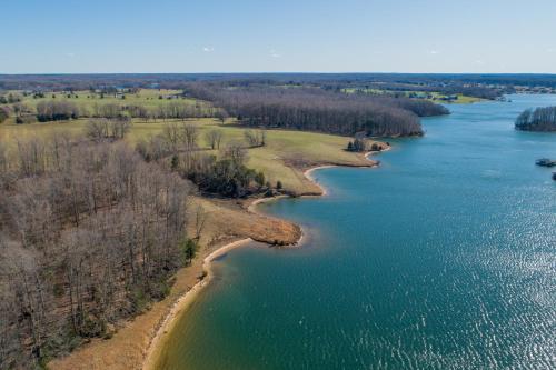 an aerial view of a river with trees and water at Tranquil Point in Mineral