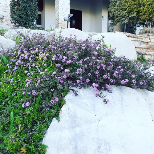 Maglioferro Residence – Photos 4