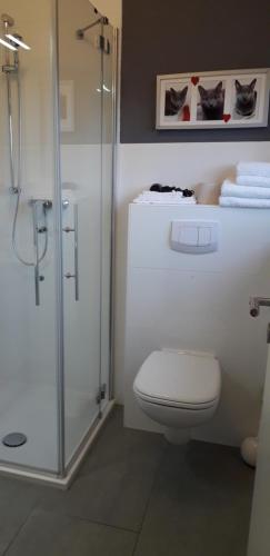 uma casa de banho com um WC e uma cabina de duche em vidro. em Privatzimmer Essy in RE em Recklinghausen