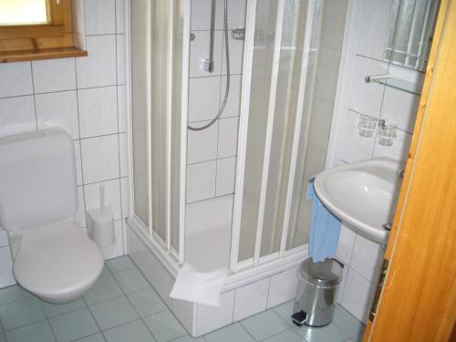 bagno con servizi igienici e lavandino di Hotel Ahorni a Oberwald