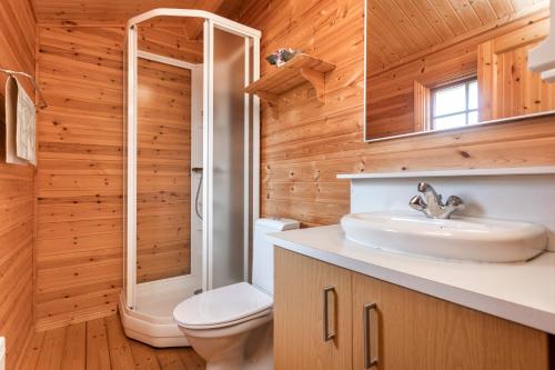 a bathroom with a toilet sink and a shower at Sireksstadir Farm Holiday in Vopnafjörður