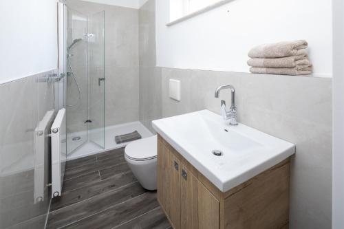a bathroom with a sink and a toilet and a shower at Winkelschiffchen II mit Sauna in Juist