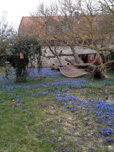 a swing in a field of blue flowers at Mullbärsgårdens Bed and Breakfast in Visby