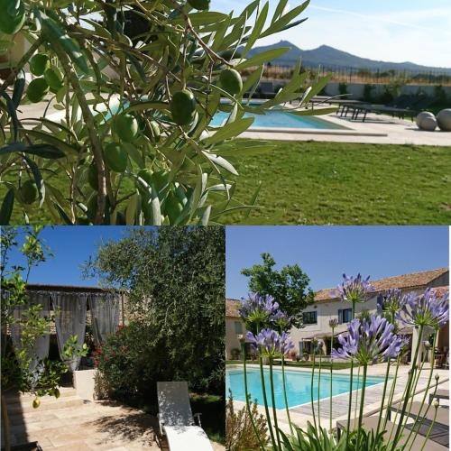 Le Mas Saint Philippe – Photos 4