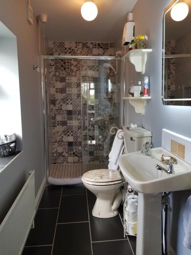 a bathroom with a shower and a toilet and a sink at Brookvale in Wellingtonbridge