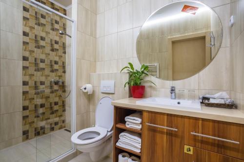 a bathroom with a toilet and a sink and a mirror at Hotel Mayer Alsóörs in Alsóörs