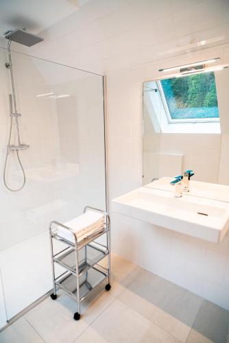 a bathroom with a sink and a shower at Les Sources du Val in Saint-Pierre-du-Val