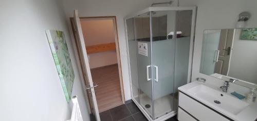 ein Bad mit einer Dusche und einem Waschbecken in der Unterkunft Gite Bannost in Bannost