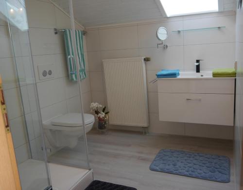 a bathroom with a shower and a toilet and a sink at Haus Deutsch in Roßhaupten