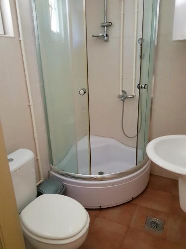 a bathroom with a shower and a toilet and a sink at Apartmani Petrović - 3 cozy family apartments in Kaludjerske Bare