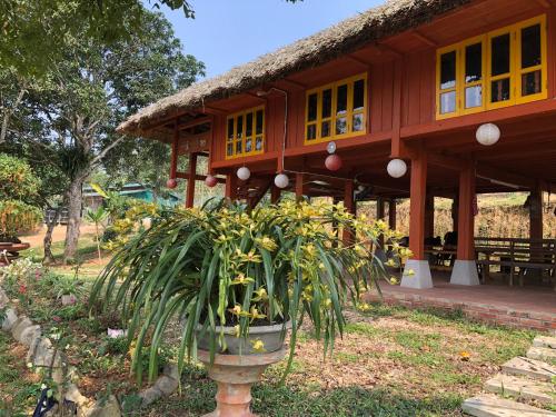 a plant in a pot in front of a building at Pài Bjooc homestay in Làng Mán