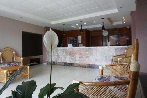 Fotografie z fotogalerie ubytování Hotel Palacio v destinaci Xalapa