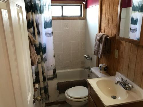 a small bathroom with a toilet and a sink at Grandview Cabins & RV Resort in South Fork