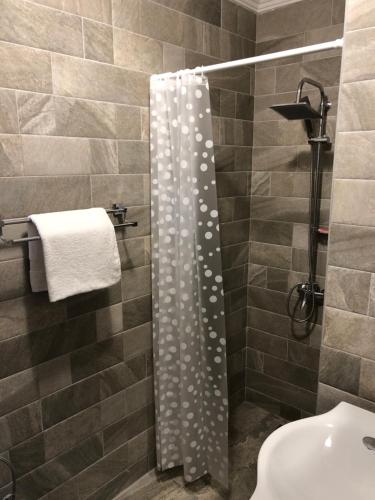 a bathroom with a shower curtain with polka dots at Apartments Monte Green in Virpazar