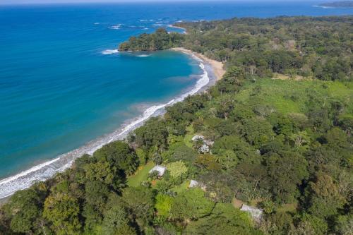 an aerial view of a beach and the ocean at Casa Viva Eco Lodge in Puerto Viejo
