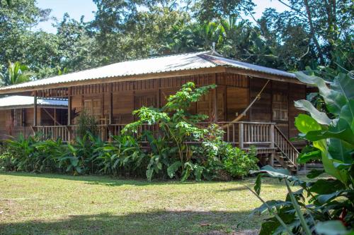 a wooden house with a porch in front of it at Casa Viva Eco Lodge in Puerto Viejo