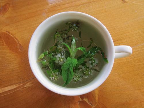 a white cup of soup with a plant in it at Хата Різьбяра in Beloberëzka