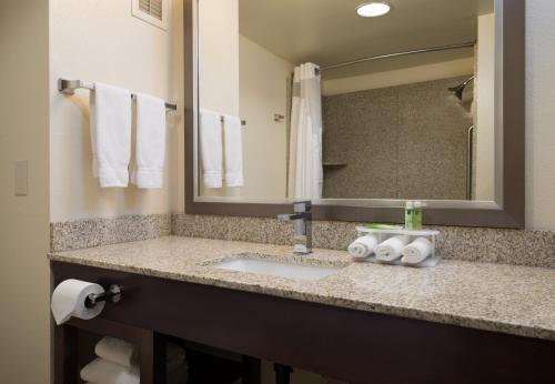 Ванная комната в Holiday Inn Express Rocklin - Galleria Area, an IHG Hotel