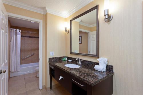 a bathroom with a sink and a large mirror at Holiday Inn & Suites San Mateo - SFO by IHG in San Mateo