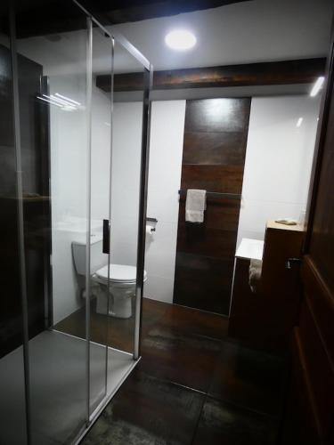a bathroom with a toilet and a glass shower at Auberge du Lac in Mandailles
