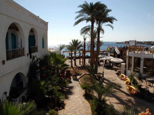 Gallery image of Planet Oasis Resort Dahab in Dahab