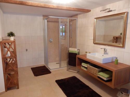 a bathroom with a shower and a sink and a mirror at anno Tyrol in Biberwier