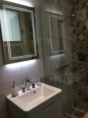 ein Bad mit einem Waschbecken und einer Dusche mit einem Spiegel in der Unterkunft Chez Montiz in Montazels