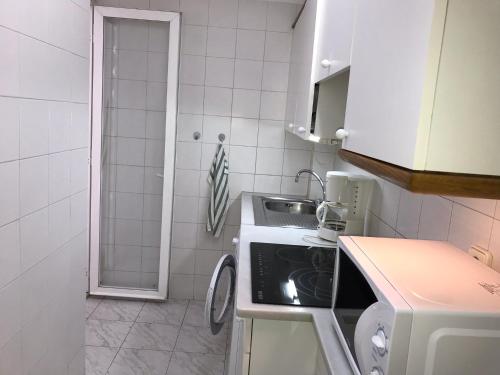 Kuchyňa alebo kuchynka v ubytovaní Embajador 9 21
