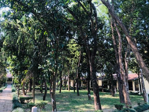a row of trees in a park next to a building at Rhino Lodge Bardia Pvt Ltd in Bhurkīā