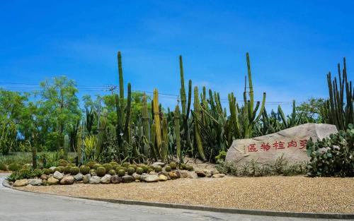 a garden with a bunch of cacti and plants at City Hotel Xiamen-Free Welcome Fruits in Xiamen