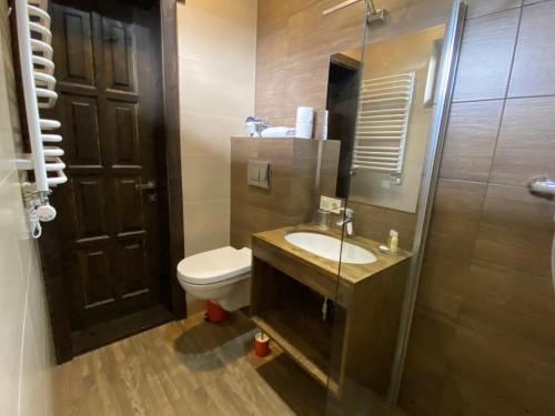 a bathroom with a toilet and a sink and a shower at Blyzhche Neba in Yablunytsya