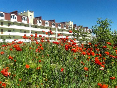 Gallery image of Sevastopol Apartments - House near Greek Hora in Sevastopol
