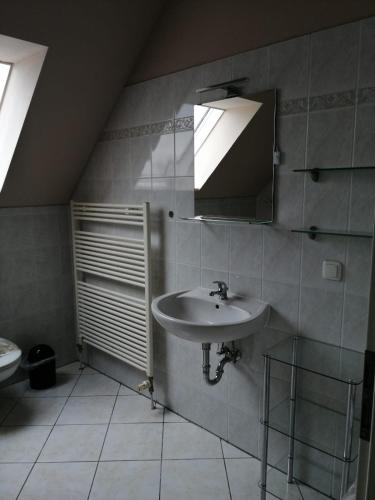 a bathroom with a sink and a mirror at FEWO Tietz in Wolmirstedt