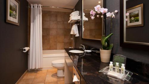 Et badeværelse på Holiday Inn & Suites Mississauga West - Meadowvale, an IHG Hotel
