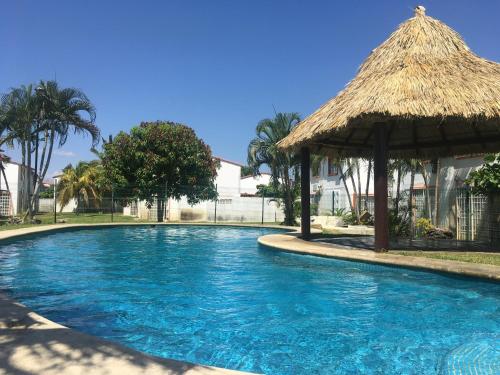 a large swimming pool with a straw umbrella and trees at casa en Acapulco diamante con alberca y todos los servicios in La Sabana